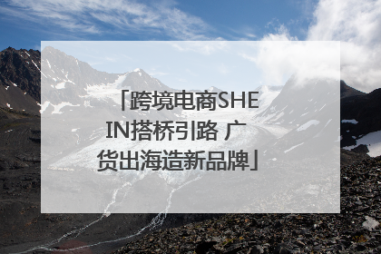 跨境电商SHEIN搭桥引路 广货出海造新品牌