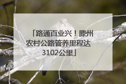 路通百业兴！滕州农村公路管养里程达3102公里