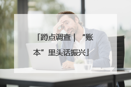 蹲点调查｜“账本”里头话振兴
