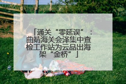 通关“零延误”：曲靖海关会泽集中查检工作站为云品出海架“金桥”