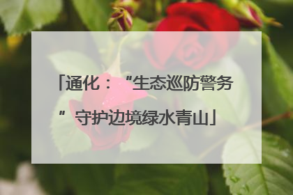 通化：“生态巡防警务”守护边境绿水青山