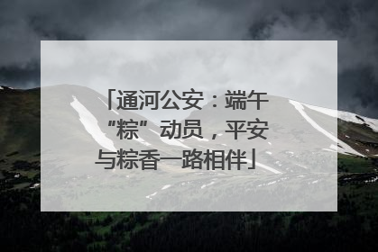 通河公安：端午“粽”动员，平安与粽香一路相伴