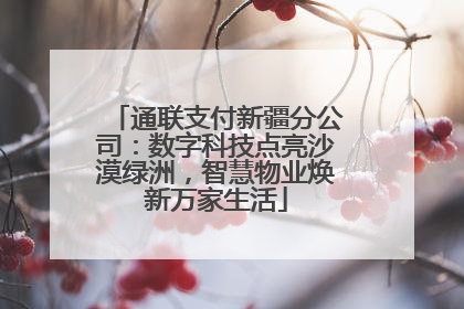 通联支付新疆分公司：数字科技点亮沙漠绿洲，智慧物业焕新万家生活