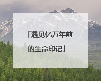 遇见亿万年前的生命印记