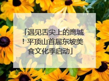 遇见舌尖上的鹰城！平顶山首届东坡美食文化季启动