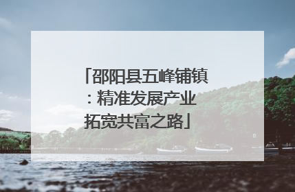 邵阳县五峰铺镇：精准发展产业 拓宽共富之路