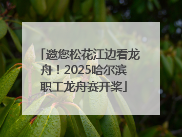 邀您松花江边看龙舟！2025哈尔滨职工龙舟赛开桨