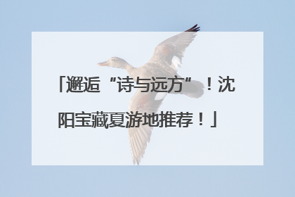 邂逅“诗与远方”！沈阳宝藏夏游地推荐！
