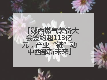 郧西燃气装备大会签约超113亿元，产业“链”动中西部新未来