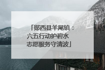郧西县羊尾镇：六五行动护碧水 志愿服务守清波