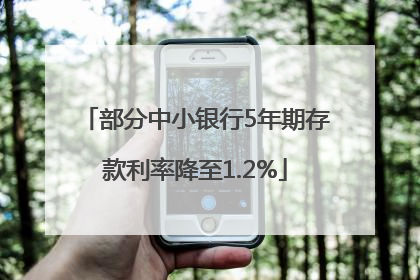 部分中小银行5年期存款利率降至1.2%