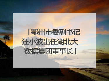 鄂州市委副书记汪小波出任湖北大数据集团董事长