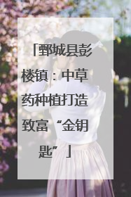 鄄城县彭楼镇：中草药种植打造致富“金钥匙”