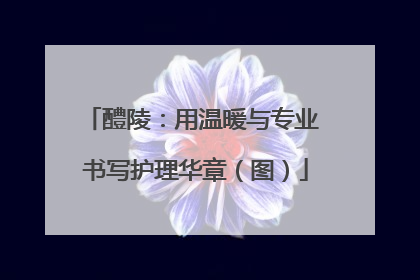 醴陵：用温暖与专业 书写护理华章（图）