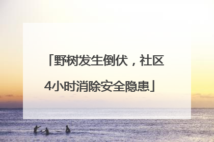 野树发生倒伏，社区4小时消除安全隐患