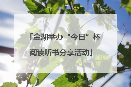 金湖举办“今日”杯阅读听书分享活动