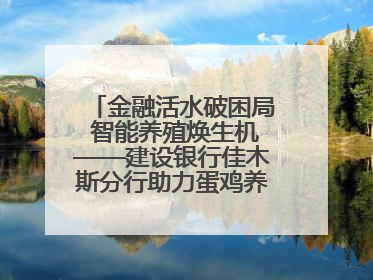 金融活水破困局 智能养殖焕生机——建设银行佳木斯分行助力蛋鸡养殖突围