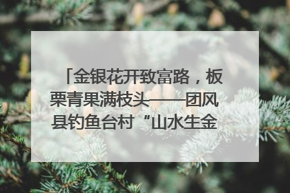 金银花开致富路，板栗青果满枝头——团风县钓鱼台村“山水生金”谱写共富新篇章