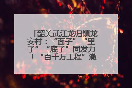 韶关武江龙归镇龙安村：“面子”“里子”“底子”同发力！“百千万工程”激活乡村新动能