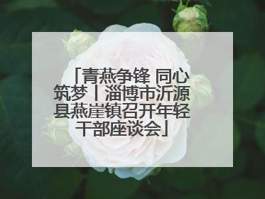 青燕争锋 同心筑梦丨淄博市沂源县燕崖镇召开年轻干部座谈会