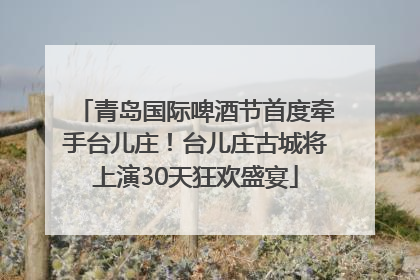 青岛国际啤酒节首度牵手台儿庄！台儿庄古城将上演30天狂欢盛宴