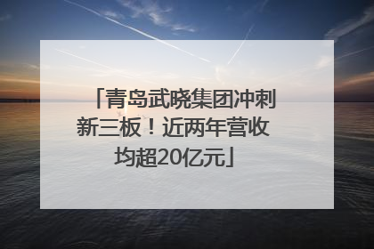 青岛武晓集团冲刺新三板！近两年营收均超20亿元