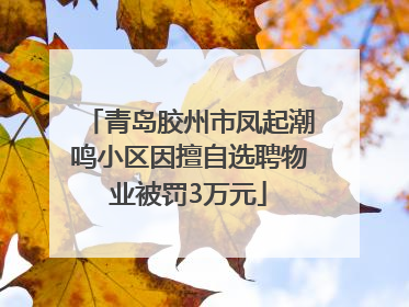 青岛胶州市凤起潮鸣小区因擅自选聘物业被罚3万元
