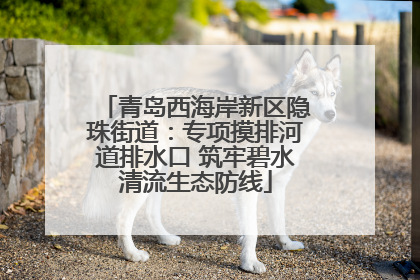 青岛西海岸新区隐珠街道：专项摸排河道排水口 筑牢碧水清流生态防线