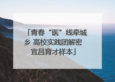 青春“医”线牵城乡 高校实践团解密宜昌育才样本