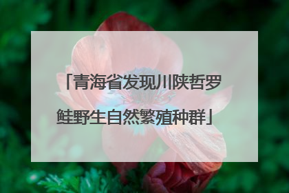 青海省发现川陕哲罗鲑野生自然繁殖种群