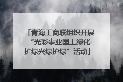 青海工商联组织开展“光彩事业国土绿化·扩绿兴绿护绿”活动