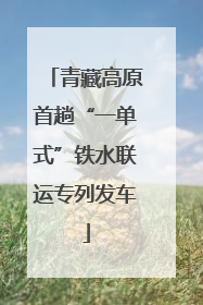 青藏高原首趟“一单式”铁水联运专列发车