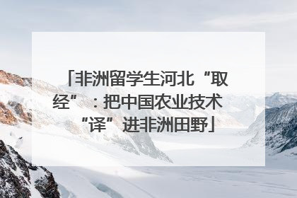 非洲留学生河北“取经”：把中国农业技术“译”进非洲田野