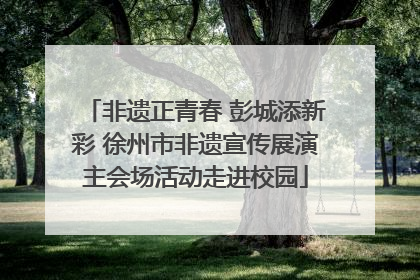 非遗正青春 彭城添新彩 徐州市非遗宣传展演主会场活动走进校园
