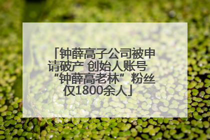 钟薛高子公司被申请破产 创始人账号“钟薛高老林”粉丝仅1800余人