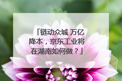 链动众城 万亿降本，京东工业将在湖南如何做？