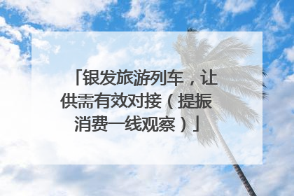 银发旅游列车，让供需有效对接（提振消费一线观察）