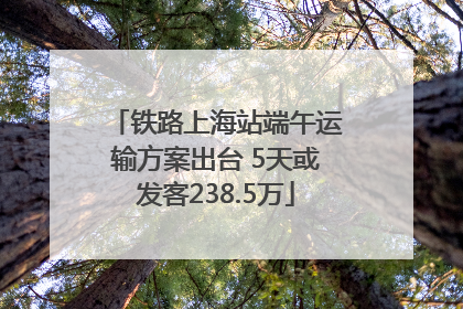 铁路上海站端午运输方案出台 5天或发客238.5万
