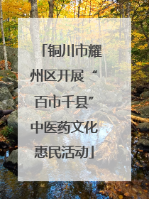 铜川市耀州区开展“百市千县”中医药文化惠民活动