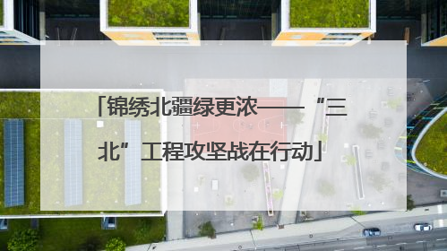 锦绣北疆绿更浓——“三北”工程攻坚战在行动