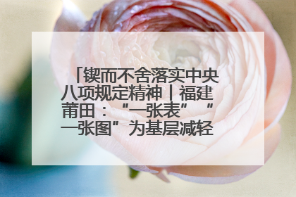 锲而不舍落实中央八项规定精神丨福建莆田：“一张表”“一张图”为基层减轻“数字负担”
