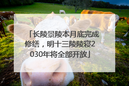 长陵景陵本月底完成修缮，明十三陵陵寝2030年将全部开放