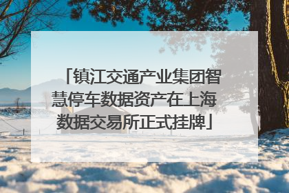 镇江交通产业集团智慧停车数据资产在上海数据交易所正式挂牌