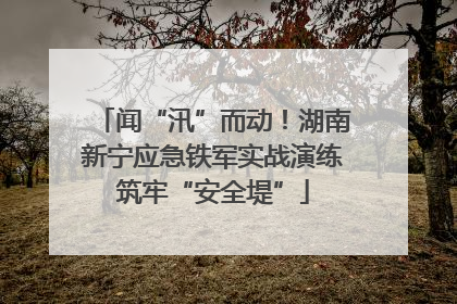 闻“汛”而动！湖南新宁应急铁军实战演练筑牢“安全堤”