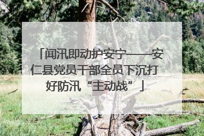 闻汛即动护安宁——安仁县党员干部全员下沉打好防汛“主动战”