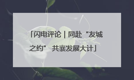 闪电评论｜同赴“友城之约” 共襄发展大计