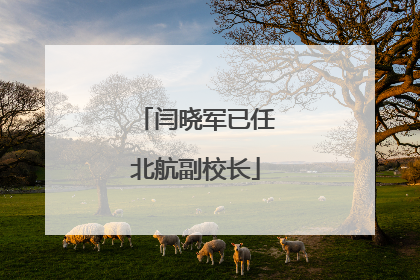 闫晓军已任北航副校长