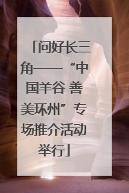 问好长三角——“中国羊谷 善美环州”专场推介活动举行