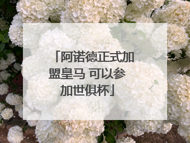 阿诺德正式加盟皇马 可以参加世俱杯