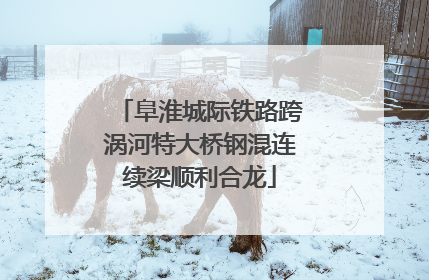 阜淮城际铁路跨涡河特大桥钢混连续梁顺利合龙